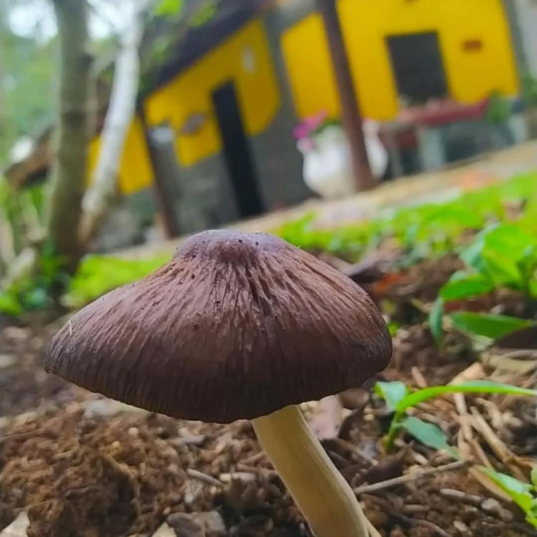Chacara Rancho Paraiso Piraquara エクステリア 写真